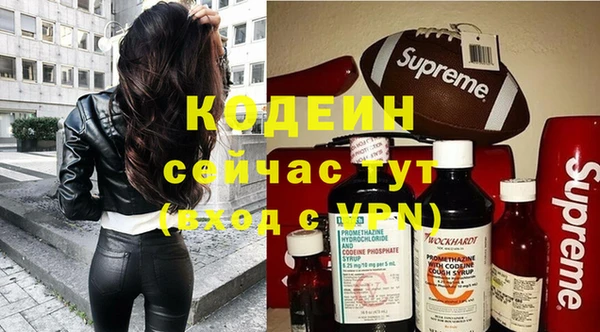 гидра Богородск