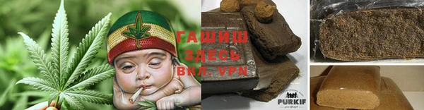 гидра Богородск