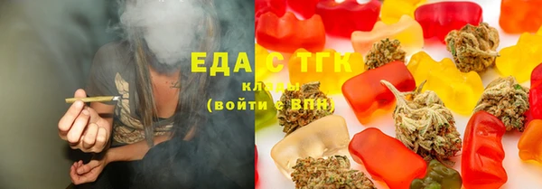 гидра Богородск