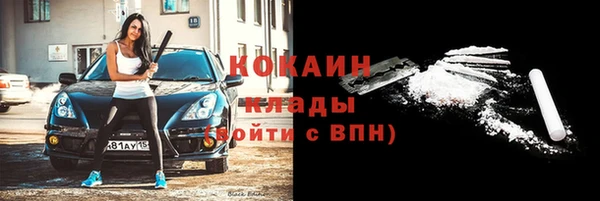 гидра Богородск