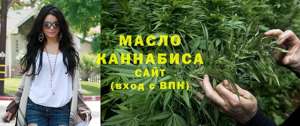 гидра Богородск