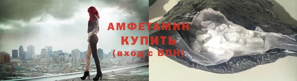гидра Богородск