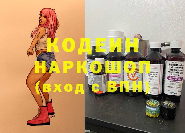 гидра Богородск
