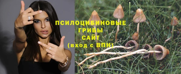 кокс Богородицк