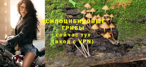 кокс Богородицк
