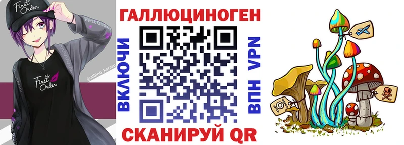 закладка  Тимашёвск  сайты даркнета Telegram  Псилоцибиновые грибы Psilocybine cubensis 